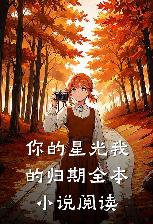 你的星光我的归期全本小说阅读