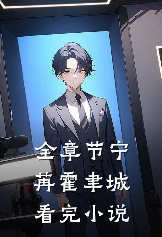 全章节宁苒霍聿城看完小说