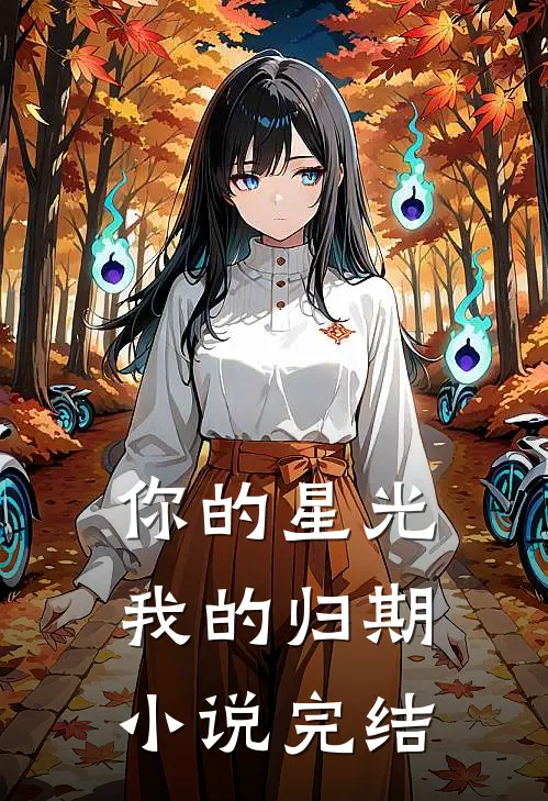 你的星光我的归期小说完结