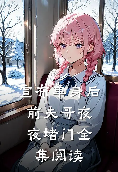 宣布单身后，前夫哥夜夜堵门全集阅读