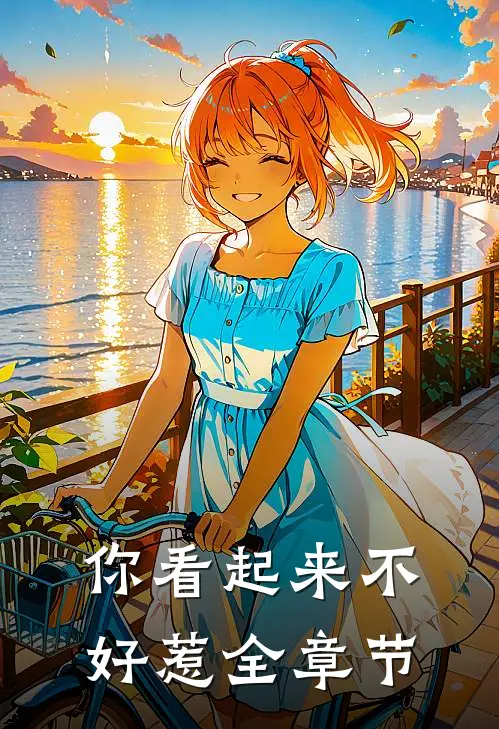 你看起来不好惹全章节