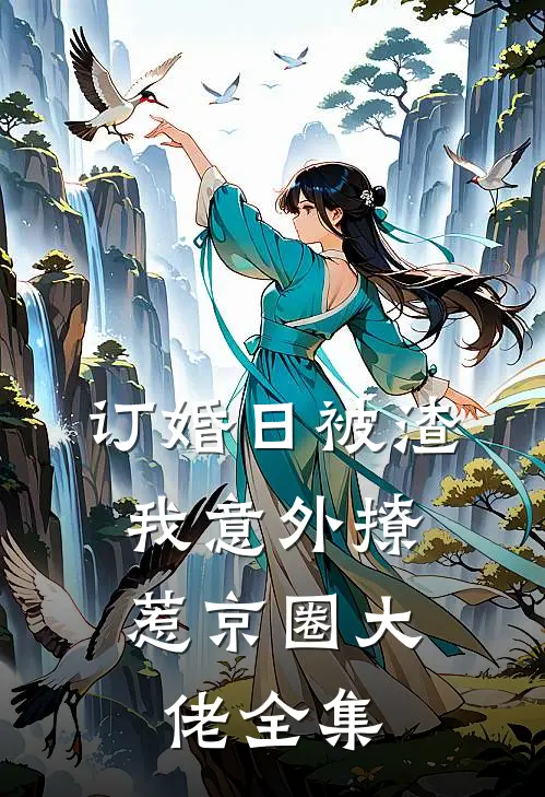 订婚日被渣，我意外撩惹京圈大佬全集