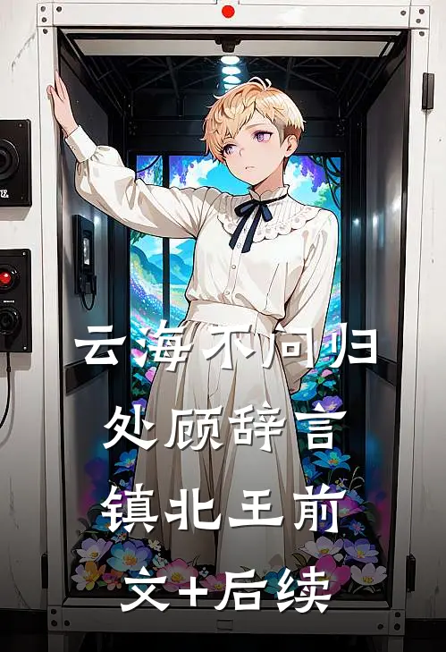 云海不问归处顾辞言镇北王前文+后续