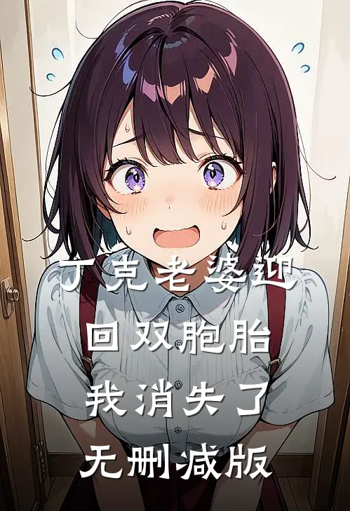 丁克老婆迎回双胞胎，我消失了无删减版