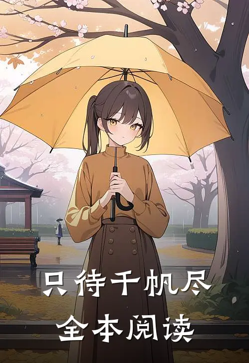 只待千帆尽全本阅读