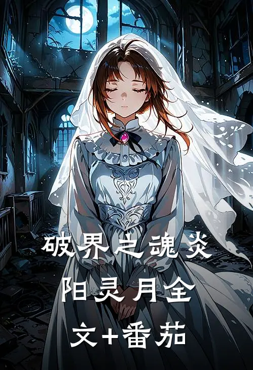 破界之魂炎阳灵月全文+番茄