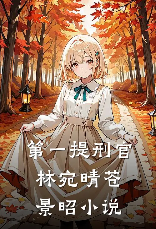 第一提刑官林宛晴苍景昭小说