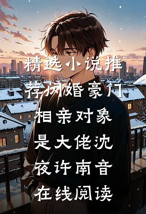 精选小说推荐闪婚豪门:相亲对象是大佬(沈夜许南音)在线阅读