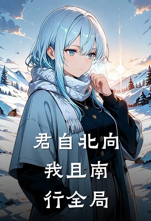 君自北向,我且南行全局