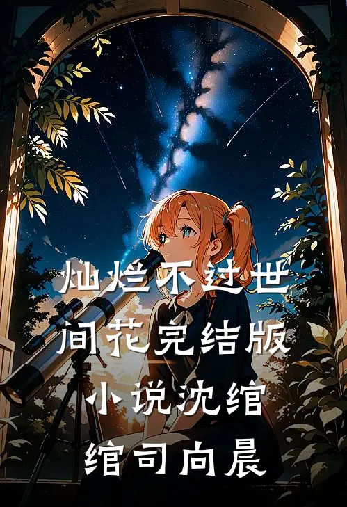 灿烂不过世间花完结版小说沈绾绾司向晨