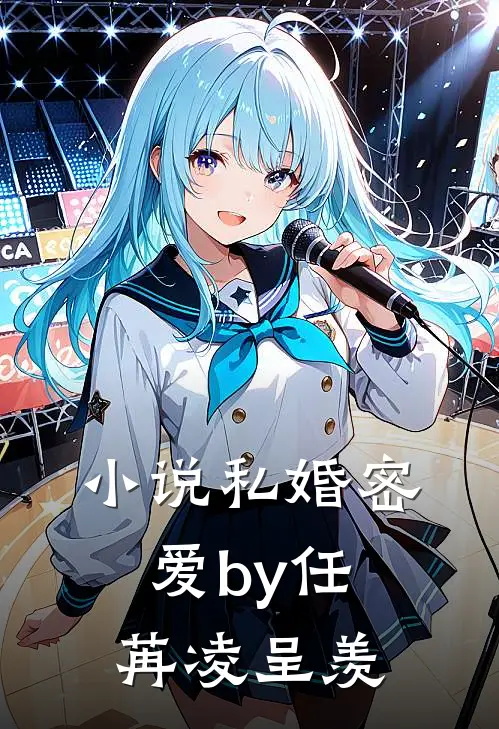 小说私婚密爱by任苒凌呈羡