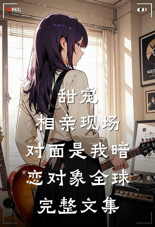 甜宠：相亲现场，对面是我暗恋对象全球完整文集