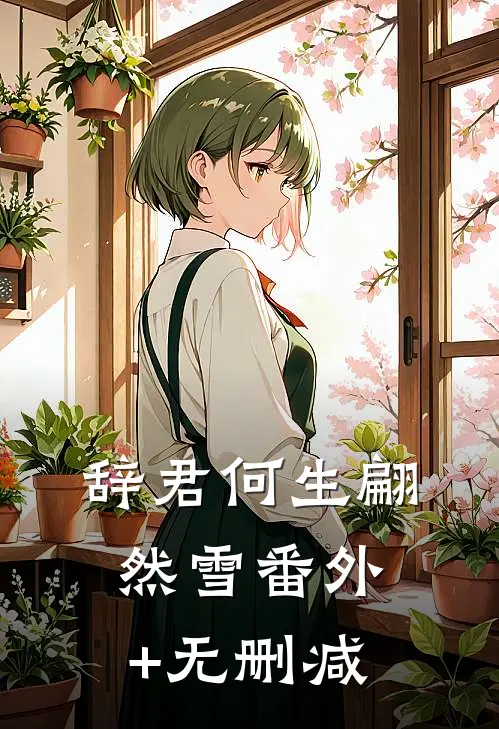 辞君何生翩然雪番外+无删减