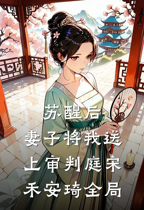 苏醒后，妻子将我送上审判庭宋禾安琦全局