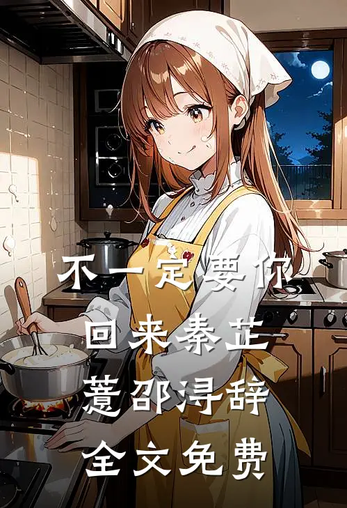 不一定要你回来秦芷薏邵浔辞全文免费
