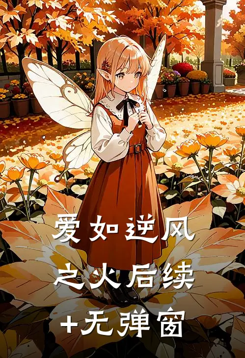 爱如逆风之火后续+无弹窗