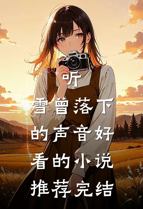 听，雪曾落下的声音好看的小说推荐完结