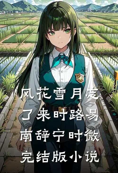 风花雪月忘了来时路易南辞宁时微完结版小说
