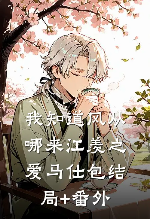 我知道风从哪来江羡之爱马仕包结局+番外