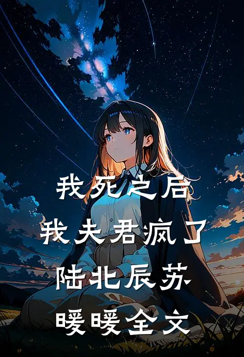 我死之后，我夫君疯了陆北辰苏暖暖全文