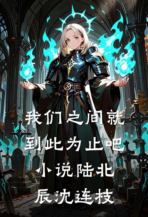 我们之间就到此为止吧小说陆北辰沈连枝