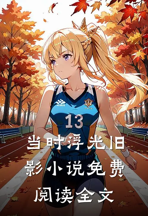 当时浮光旧影小说免费阅读全文