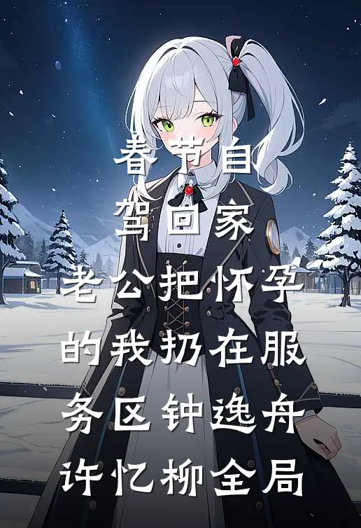 春节自驾回家，老公把怀孕的我扔在服务区钟逸舟许忆柳全局