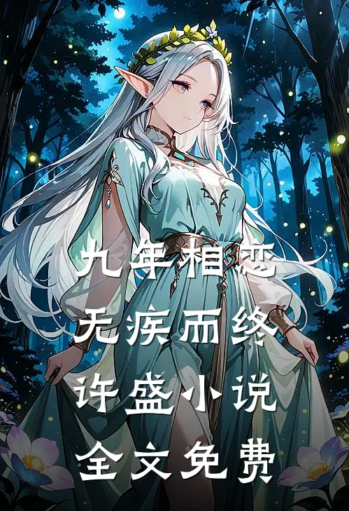 九年相恋，无疾而终许盛小说全文免费