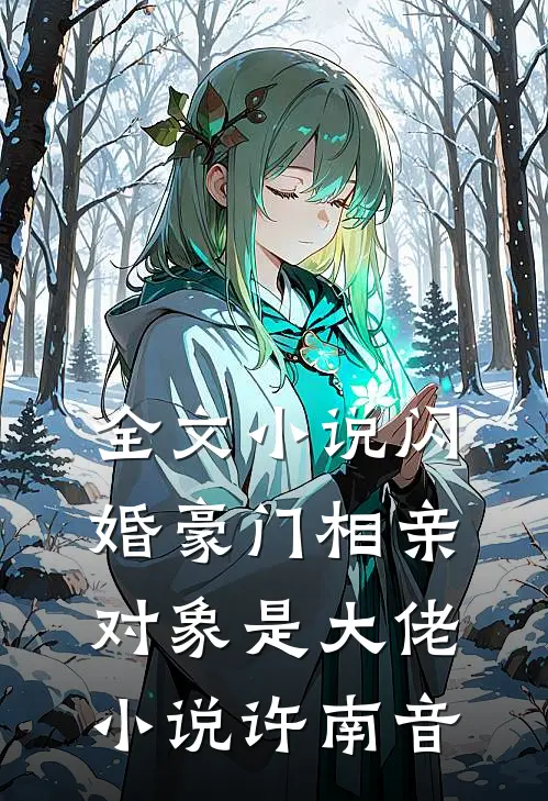 全文小说闪婚豪门相亲对象是大佬小说许南音