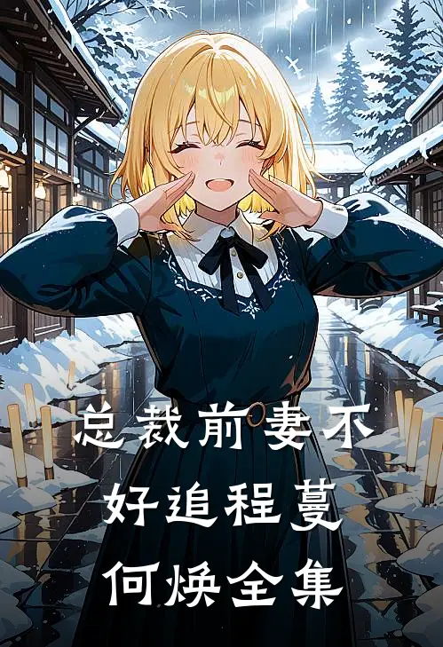 总裁前妻不好追程蔓何焕 全集