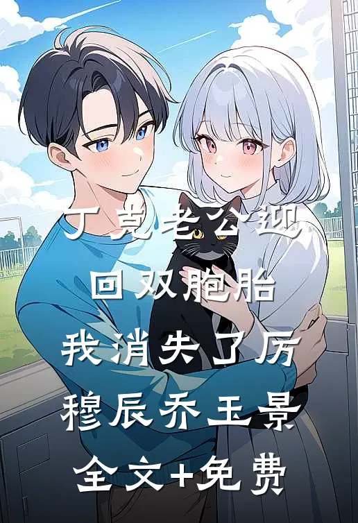 丁克老公迎回双胞胎，我消失了厉穆辰乔玉景全文+免费