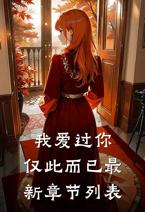 我爱过你，仅此而已最新章节列表