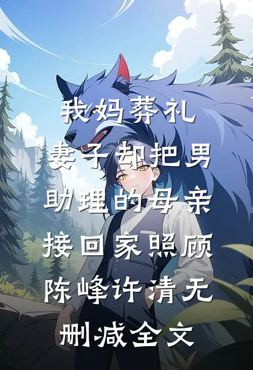 我妈葬礼，妻子却把男助理的母亲接回家照顾陈峰许清无删减全文