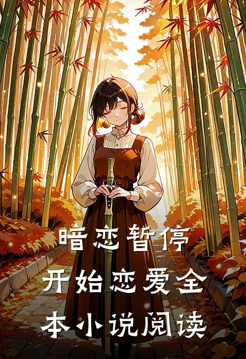 暗恋暂停，开始恋爱全本小说阅读