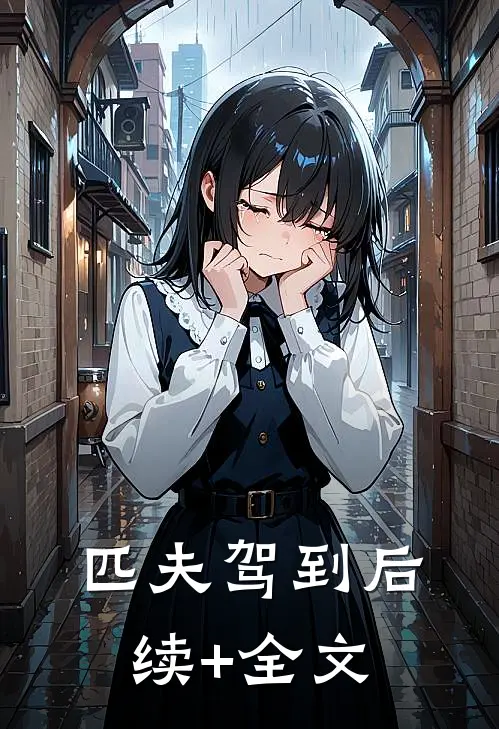 匹夫驾到后续+全文