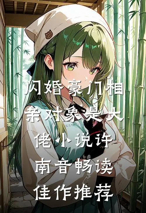 闪婚豪门相亲对象是大佬小说许南音畅读佳作推荐