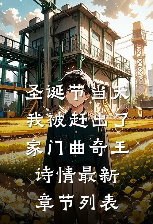 圣诞节当天，我被赶出了家门曲奇王诗情最新章节列表