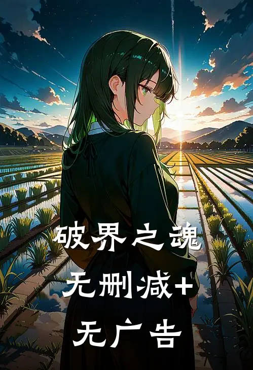 破界之魂无删减+无广告