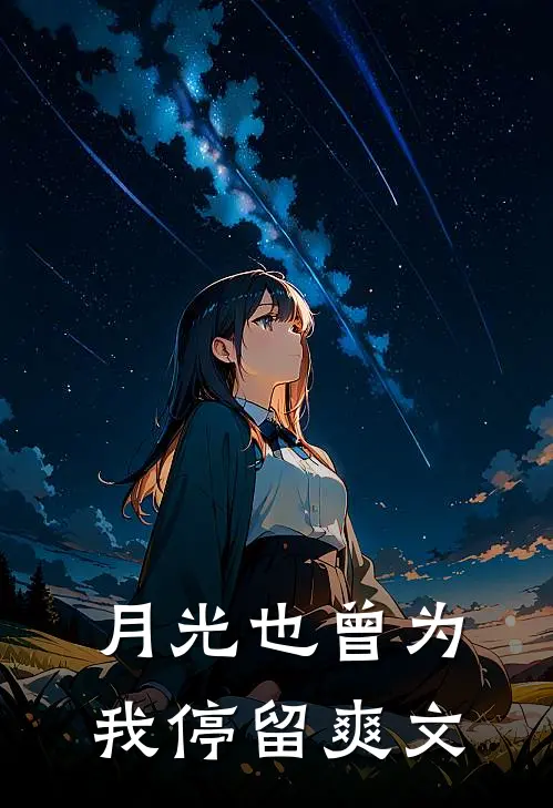 月光也曾为我停留爽文