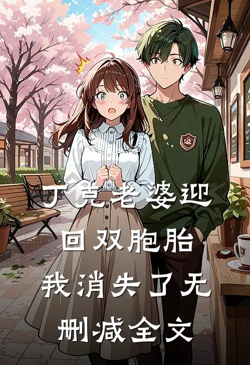 丁克老婆迎回双胞胎，我消失了无删减全文