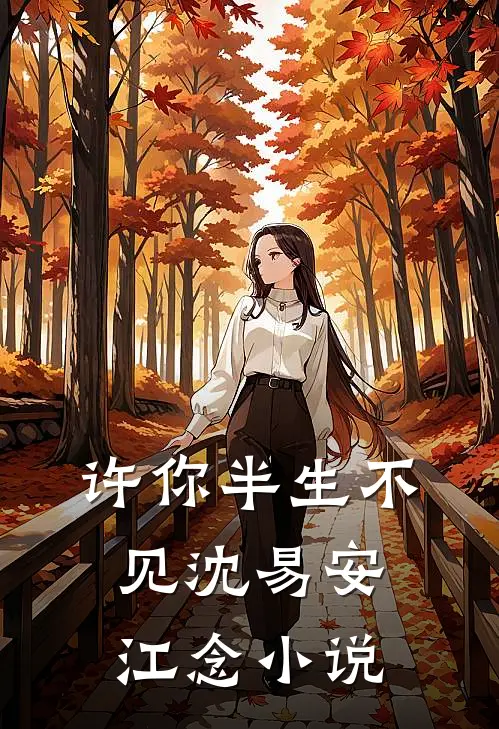 许你半生不见沈易安江念小说