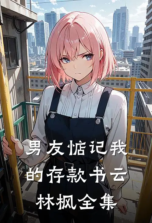 男友惦记我的存款书云林枫 全集