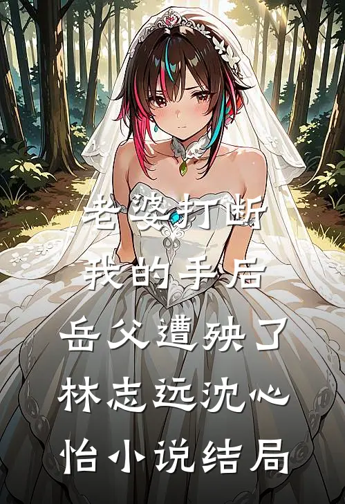 老婆打断我的手后，岳父遭殃了林志远沈心怡小说结局