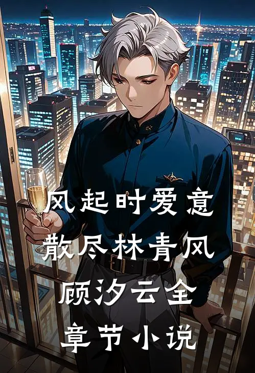 风起时爱意散尽林青风顾汐云全章节小说