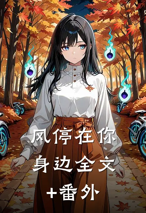 风停在你身边全文+番外