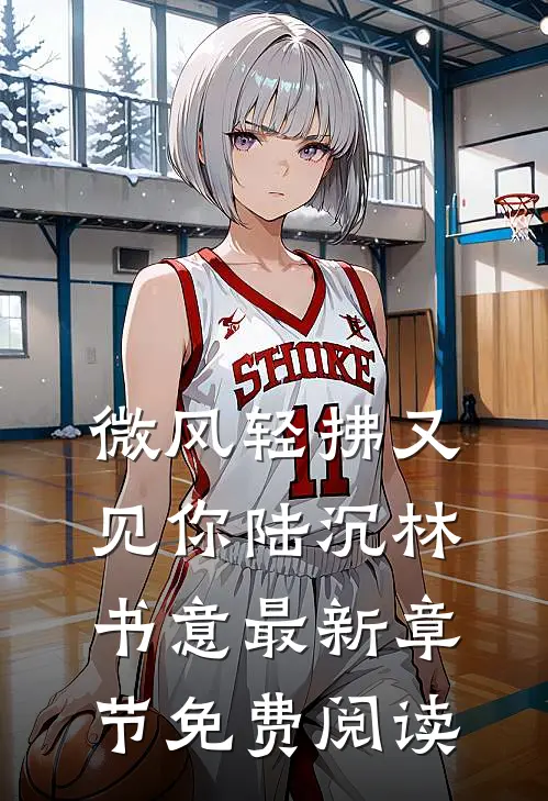 微风轻拂又见你陆沉林书意最新章节免费阅读