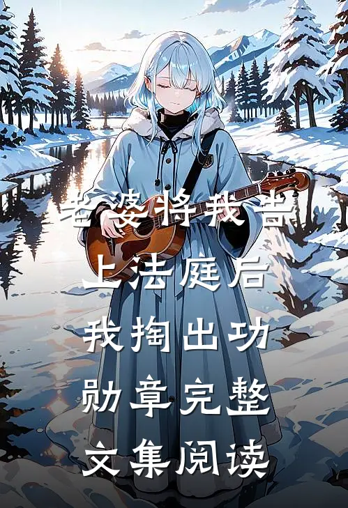 老婆将我告上法庭后，我掏出功勋章完整文集阅读