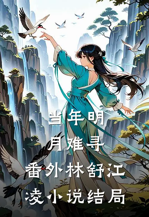 当年明月难寻：  番外林舒江凌小说结局