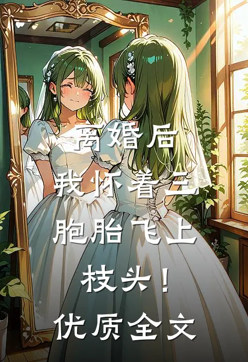离婚后，我怀着三胞胎飞上枝头！优质全文