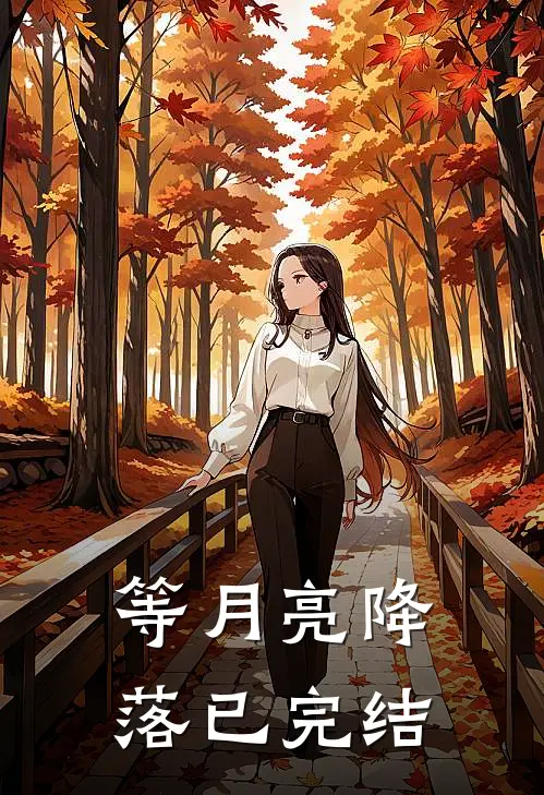 等月亮降落已完结